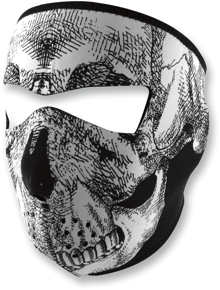 Full-Face Mask - Skull Face