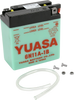 Battery - Y6N11A-1B