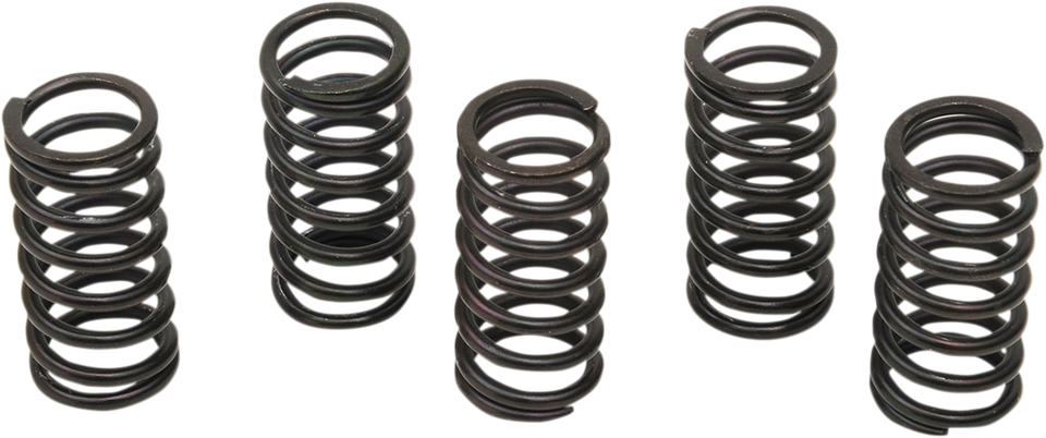 Clutch Spring Kit