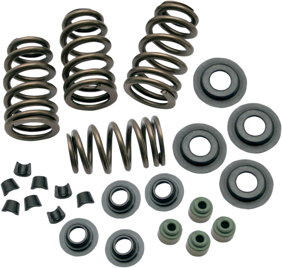 Valve Springs - .650" - Twin Cam
