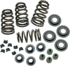 Valve Springs - .650" - Twin Cam
