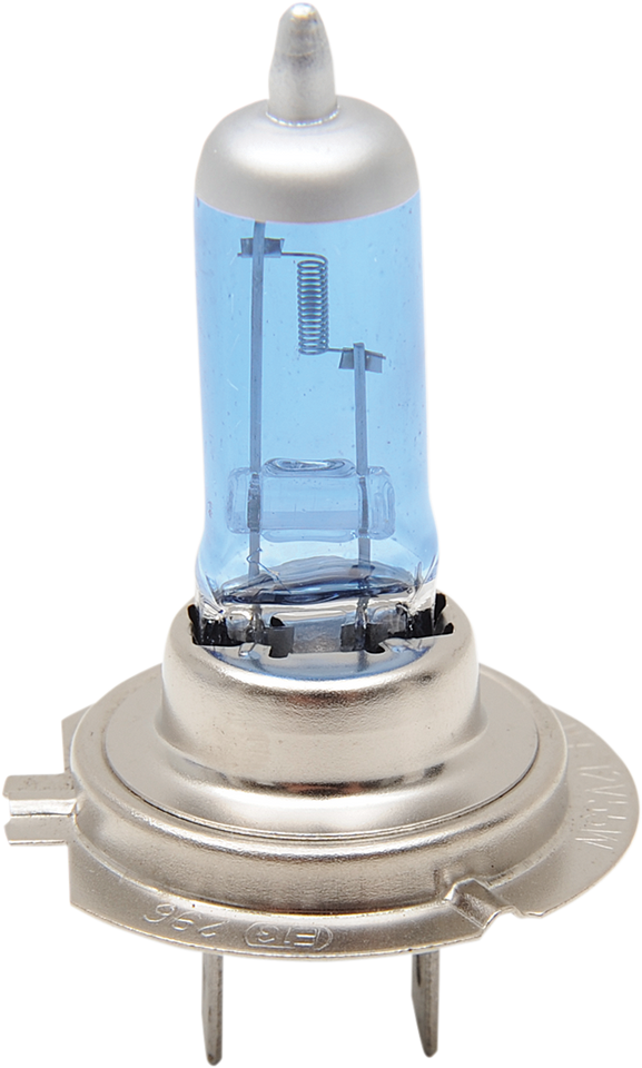 Halogen Bulb - H7 - 55 W - Super White - Lutzka's Garage