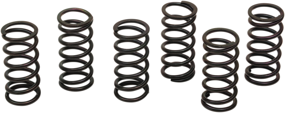 Clutch Spring Kit
