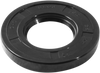 High Torque Bearing Seal