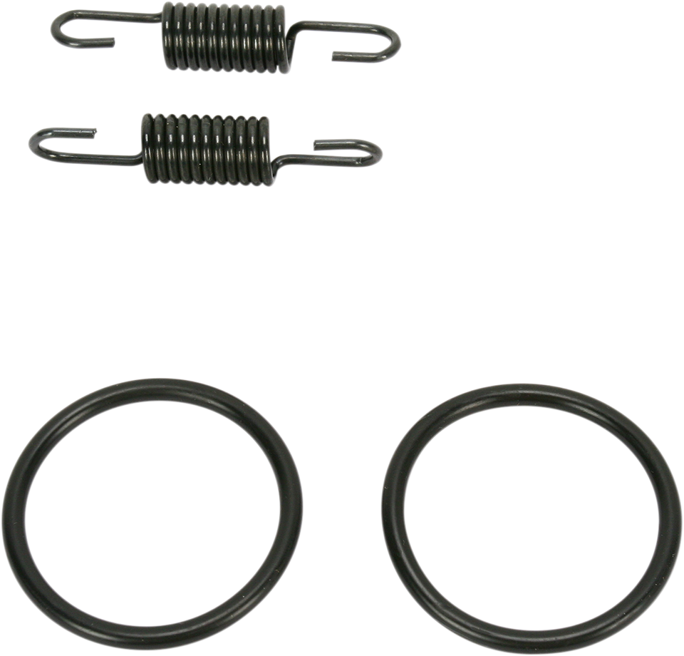 Spring and O-Ring Kit