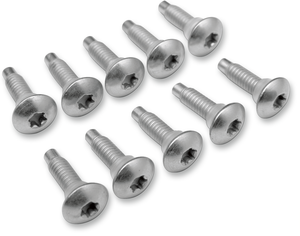 Screw Electric Fuel Injection Mount 10-Pack