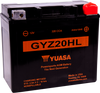 AGM Battery - GYZ20HL