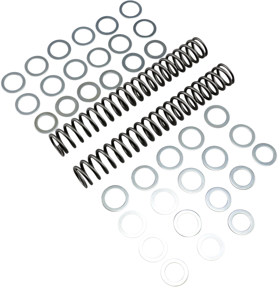 Fork Springs - 0.90 kg/mm