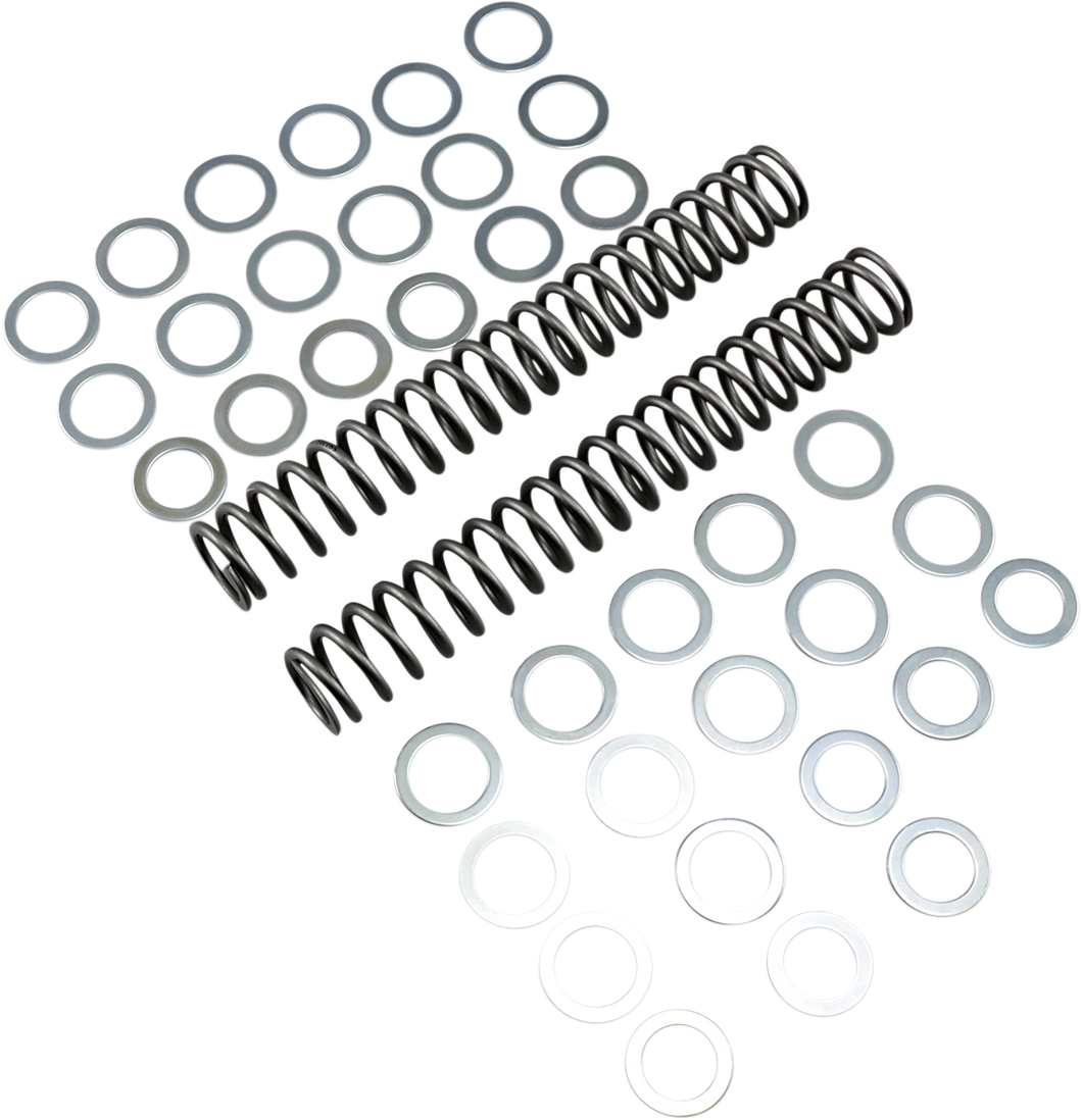 Fork Springs - 0.90 kg/mm