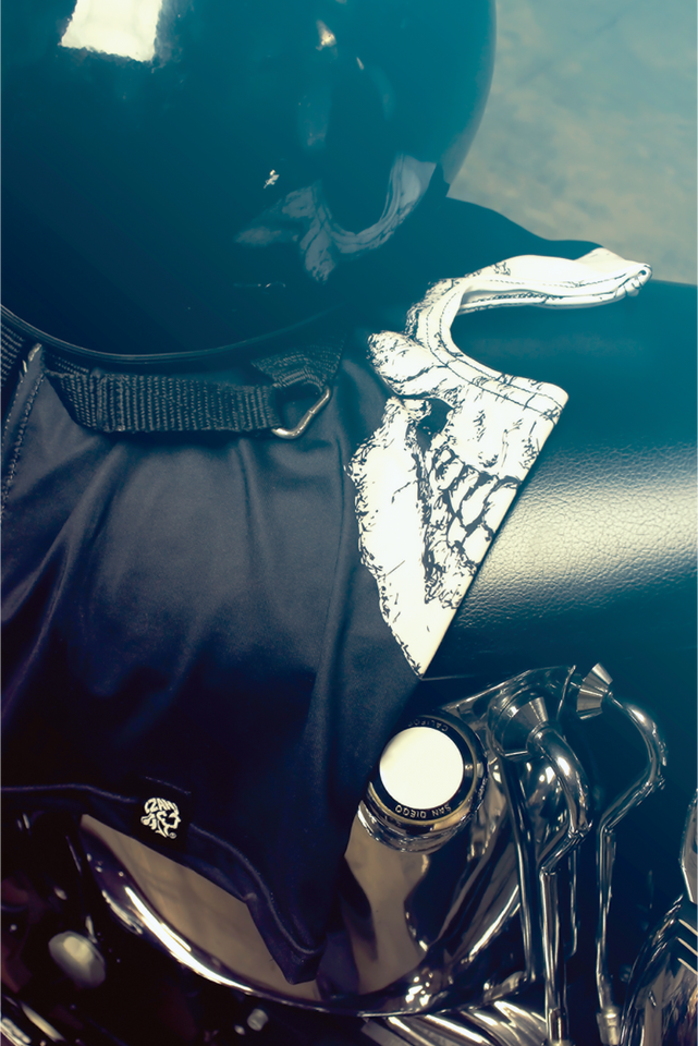 Balaclava - Poly Skull